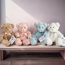 TEDDY BEAR LARRY BLUE 25CM
