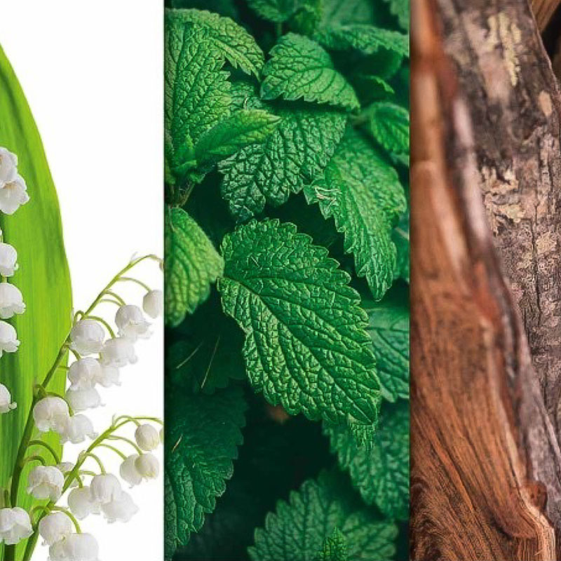 CANDLE BROTHERS BLACK VELVET SCENTED CANDLE 510g