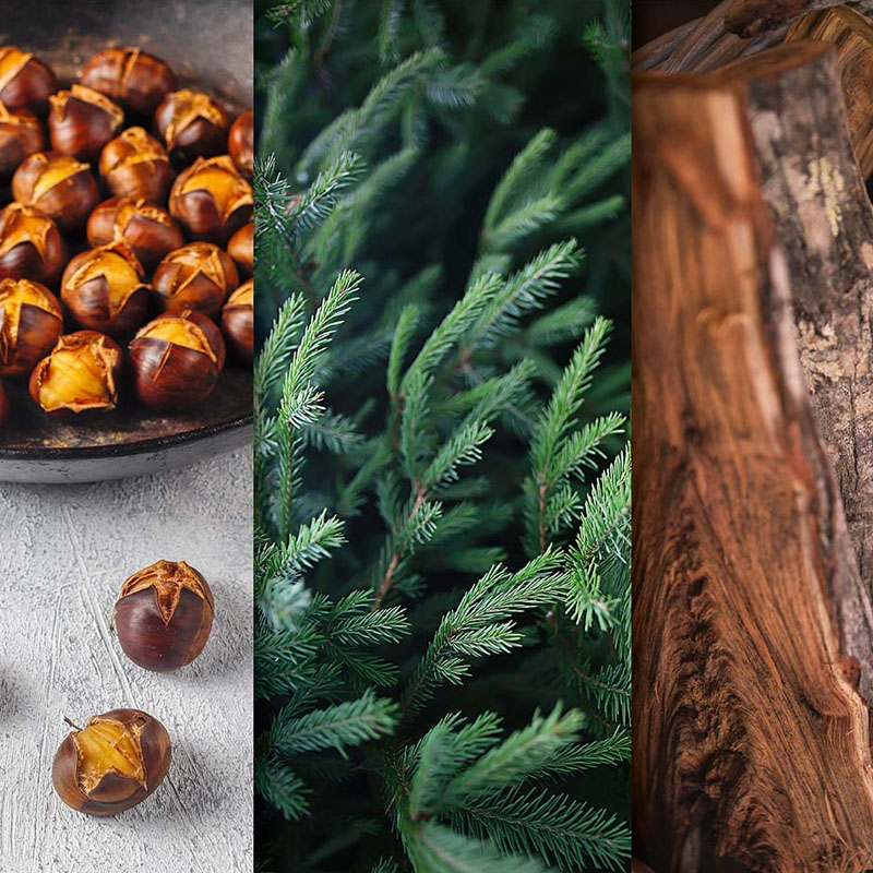 CANDLE BROTHERS ROASTED CHESTNUT SCENTED CANDLE 510g