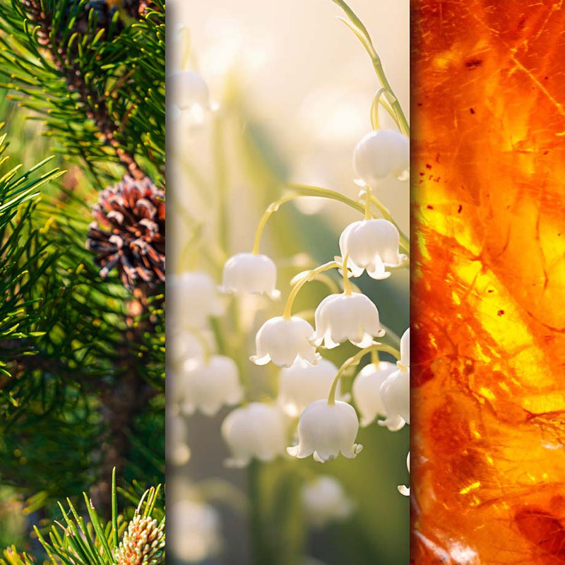 CANDLE BROTHERS SANTAL SCENTED CANDLE 510g