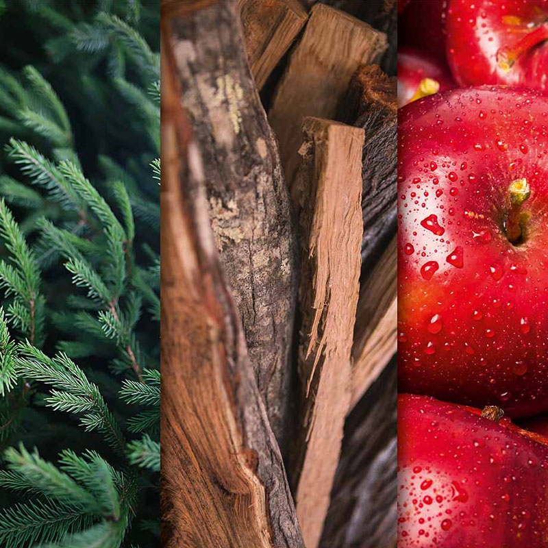 CANDLE BROTHERS CHRISTMAS TREE SCENTED CANDLE 510g