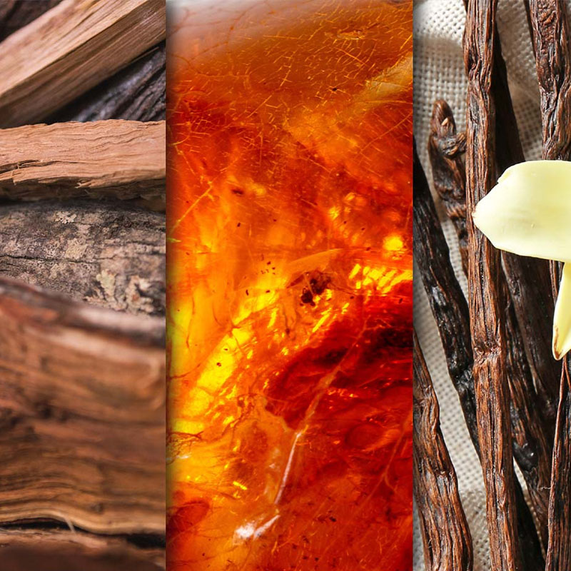 CANDLE BROTHERS WINTER CAMPFIRE SCENTED CANDLE 510g