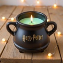 HARRY POTTER CANDLE MUG WITCHES CAULDRON