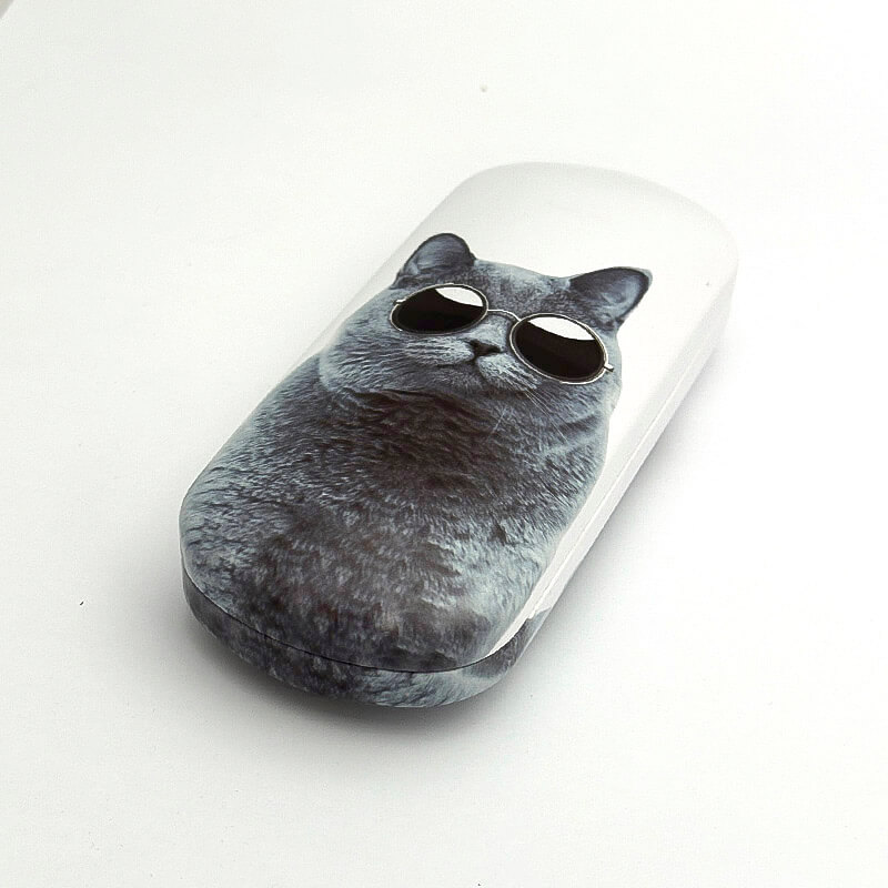 GLASSES CASE CAT #2