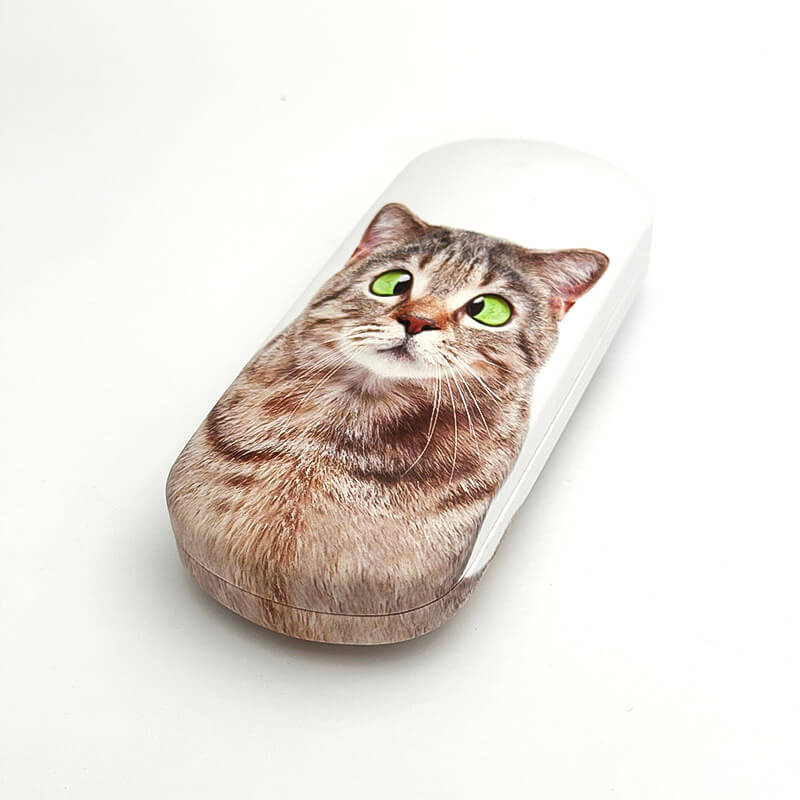 GLASSES CASE CAT #3