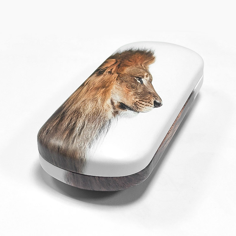GLASSES CASE LION