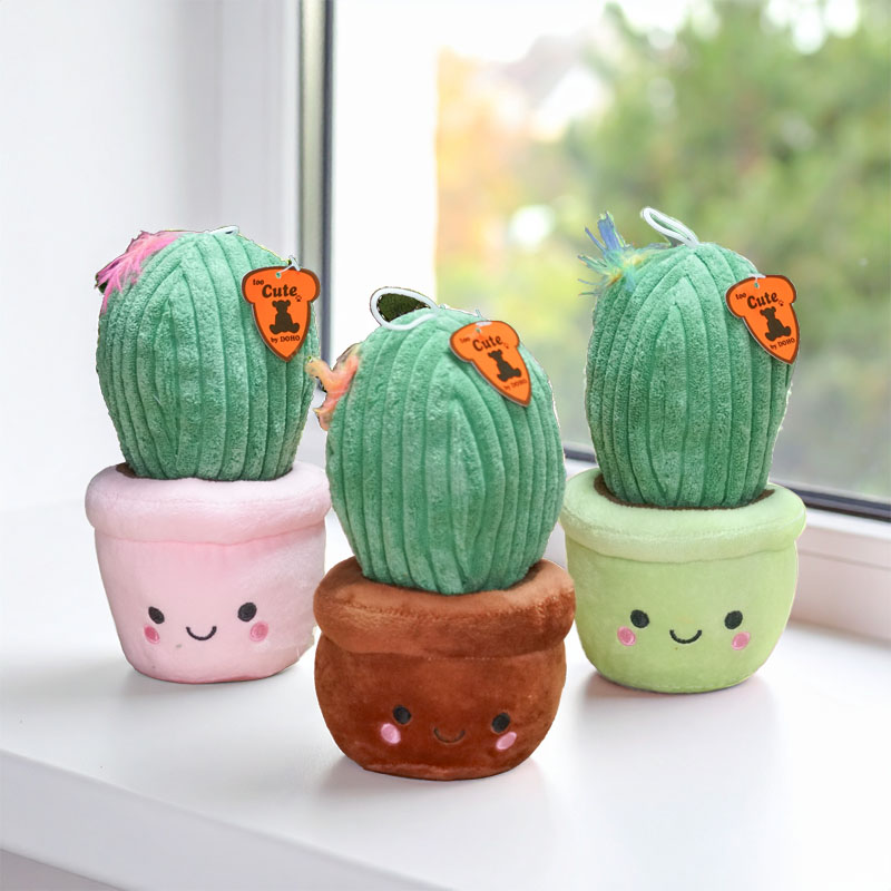 CACTUS 20cm ASSORTIMENT /3