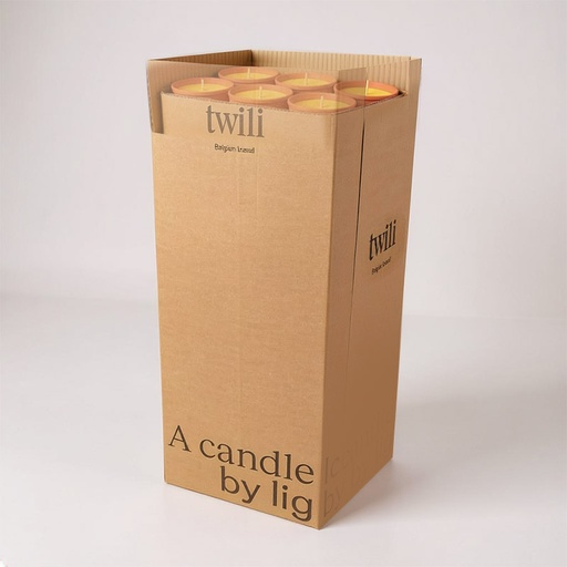 [80100202] TWILI DISPLAY OUTDOOR PARTY TERRACOTTASCHAAL CITRONELLA 19cm 90pcs