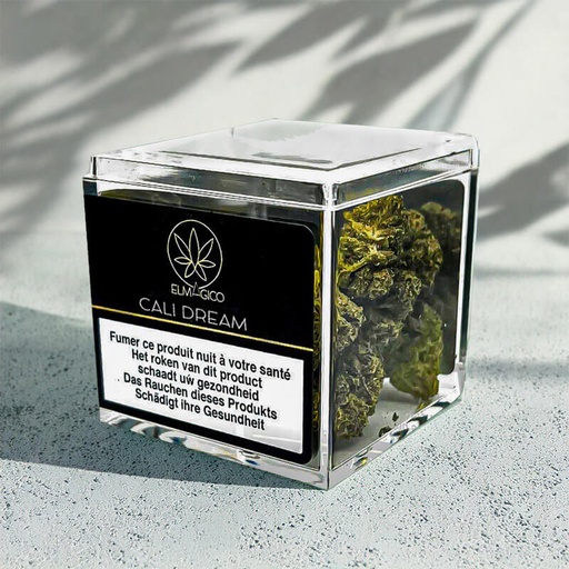 [22001019] EL MAGICO CALI DREAM 2GR (19.95)