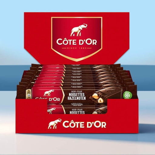 [C0603010] COTE D'OR PUUR HELE HAZELNOTEN 32x45g