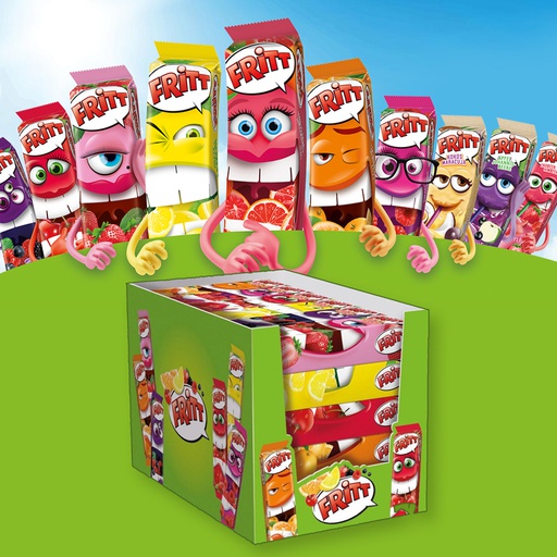[C1301000] FRITT KAUWBONBONS 6 FLAVOURS 30 x 70gr