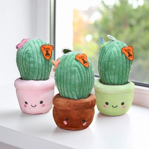 [00020569] CACTUS 20cm ASSORTIMENT /3